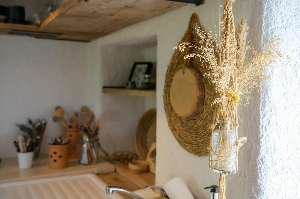 Villa Mare - A Natural Paradise Near Motovun Brkac Kroatië