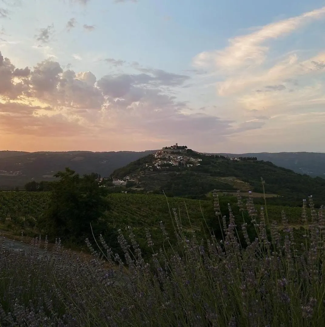 Villa Mare - A Natural Paradise Near Motovun Brkac